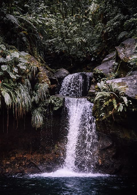 Voyage sur mesure en Guadeloupe