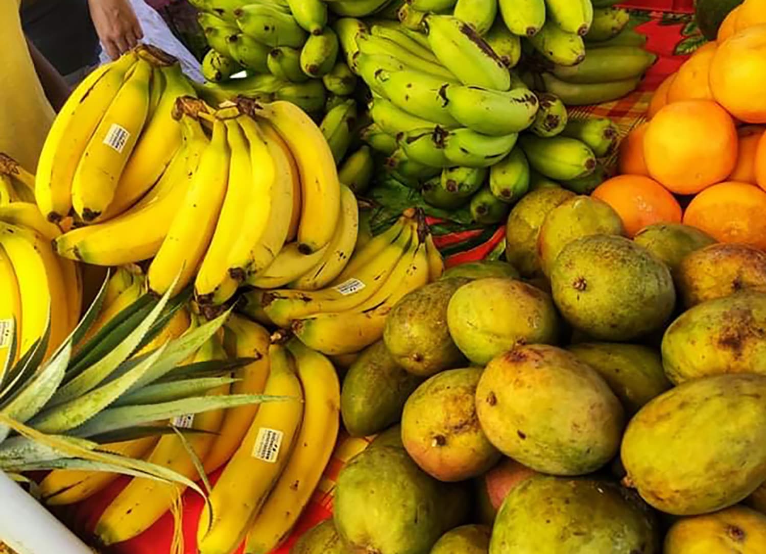 Visite guidée du marché aux épices & saveurs